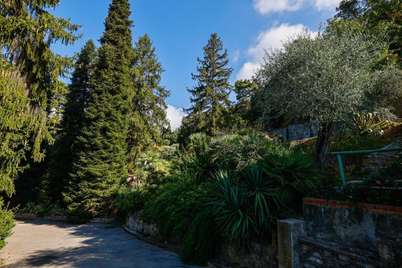 Agriturismo Terra Volonteri Montecatini Terme Exterior foto