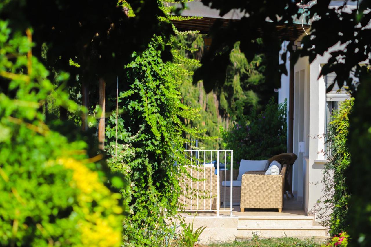 Agriturismo Terra Volonteri Montecatini Terme Exterior foto